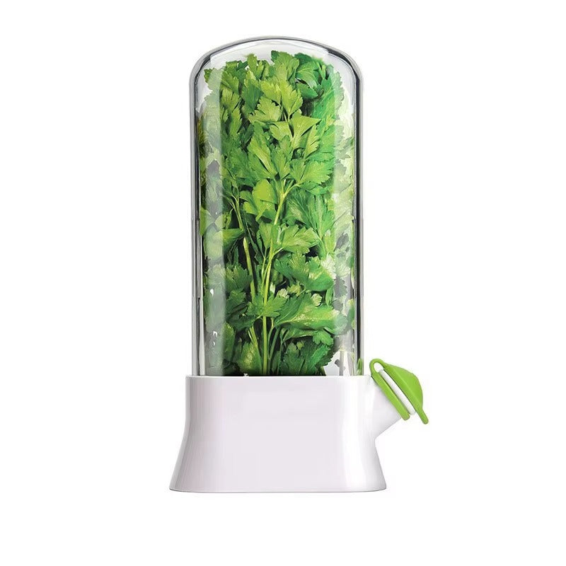 Fresh Herbs Container